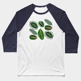 Maranta Leaves Baseball T-Shirt